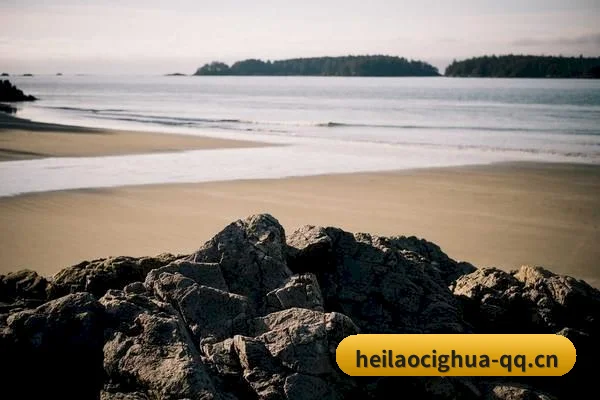 大数据脱水